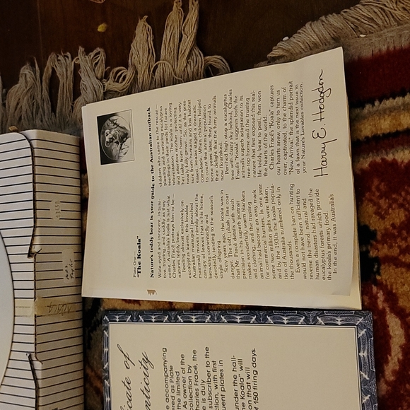 Koala Plate - Picture 6 of 7